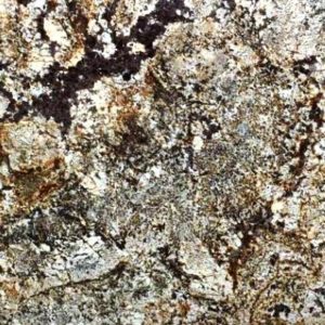 Brown Canyon Granite